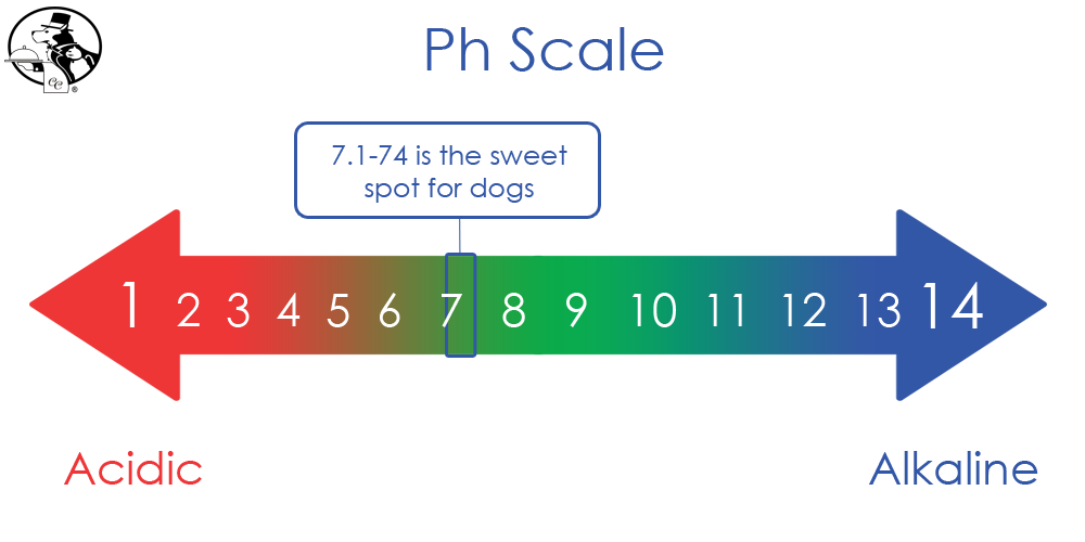 Diagram of the pH Scale