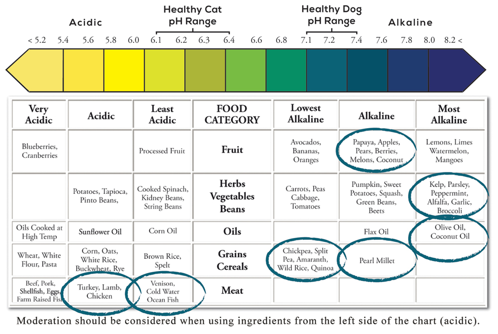 Diagram showing what foods are acidic and alkaline