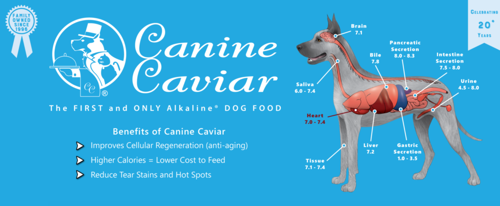 Why Buy Canine Caviar